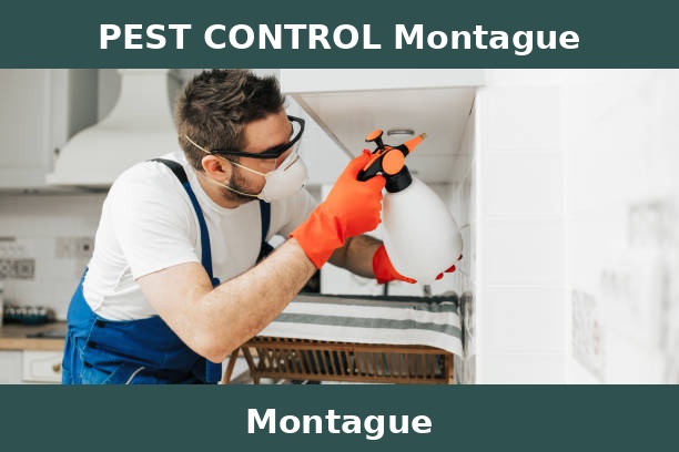 PEST CONTROL Montague